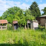 Garten3